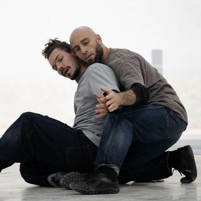 Lo que los árboles no cuentan