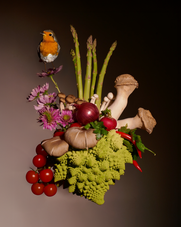 composicion_vegetal_2025