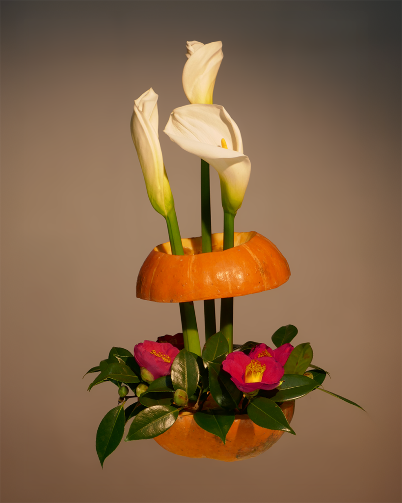 Composicion_vegetal_2026