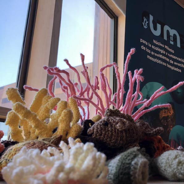 conjunto de corales marinos elaborados a ganchillo