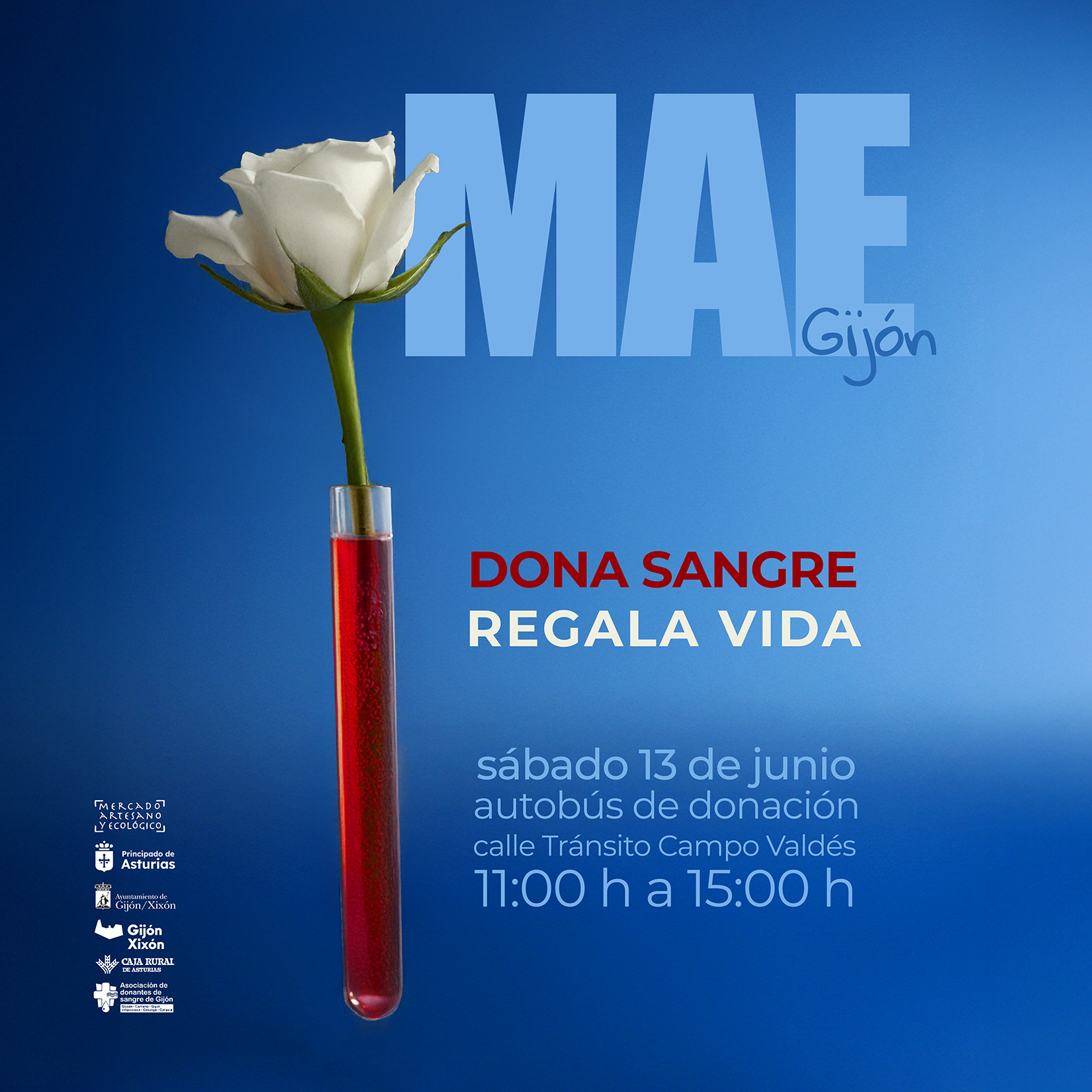 cartel_mae_dona_sangre_II cartel campaña donación de sangre en el MAE, la imagen principal es una rosa blanca en un tubo de ensayo con un líquido rojo suspendido en el aire sobre un fondo azul